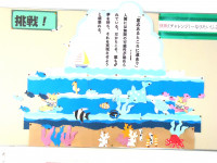 DSC06311