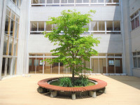 DSC05106