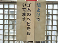 蛇２