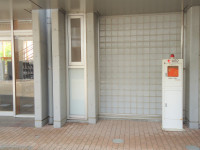 DSC05101